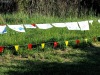 20240601_SPZ-DPS2024-fotoBV-162