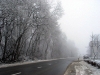 800x-20090124-potapljanjepodled-0014_2432