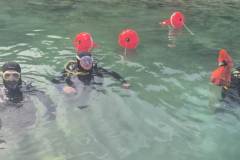 20250830_cistilna_akcija_Oceanik-16
