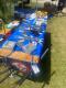 20250607_SPZ_PLK_DPS_FIESA-2007