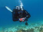 Spletni natečaj podvodne fotografije DRM OnLine