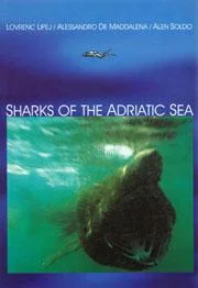 20050116lipej-sharksinadriatic001_842