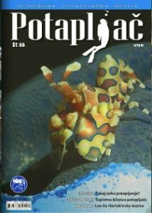 potapljač_66